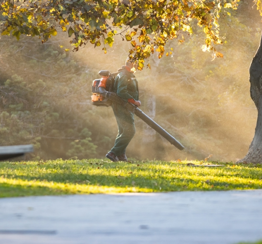 Plantsoendienst Rudy